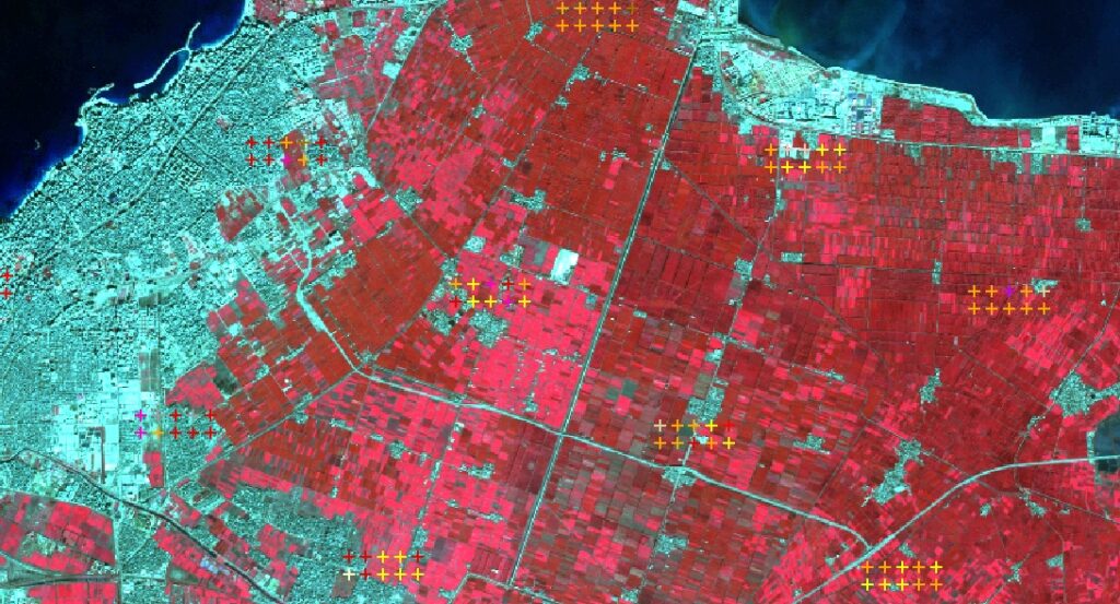 IGNFI.EGYPTE.CIPA.dominante agricole ETE zoom