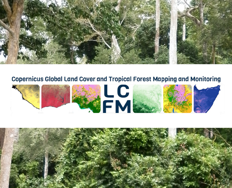 IGN FI at the heart of the New Copernicus Service Global mapping and monitoring of land cover and tropical forests (LCFM)