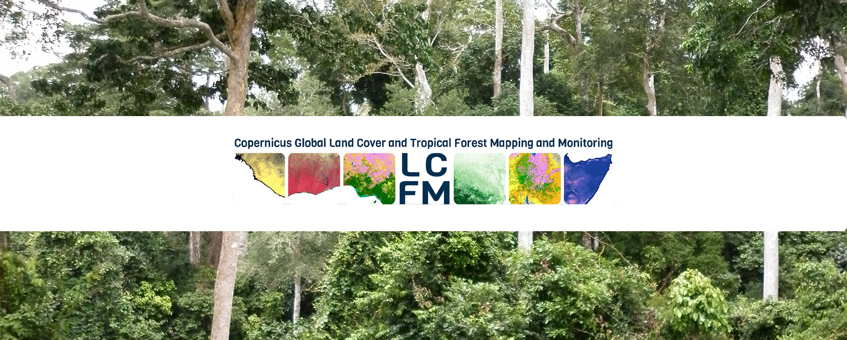 IGN FI au cœur du « Copernicus Global Land Cover and Tropical Forest Mapping and Monitoring » – LCFM