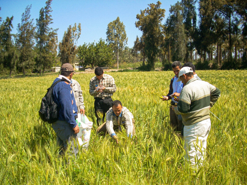 IGNFI.EGYPTE.CIPA.DSCN1025_2