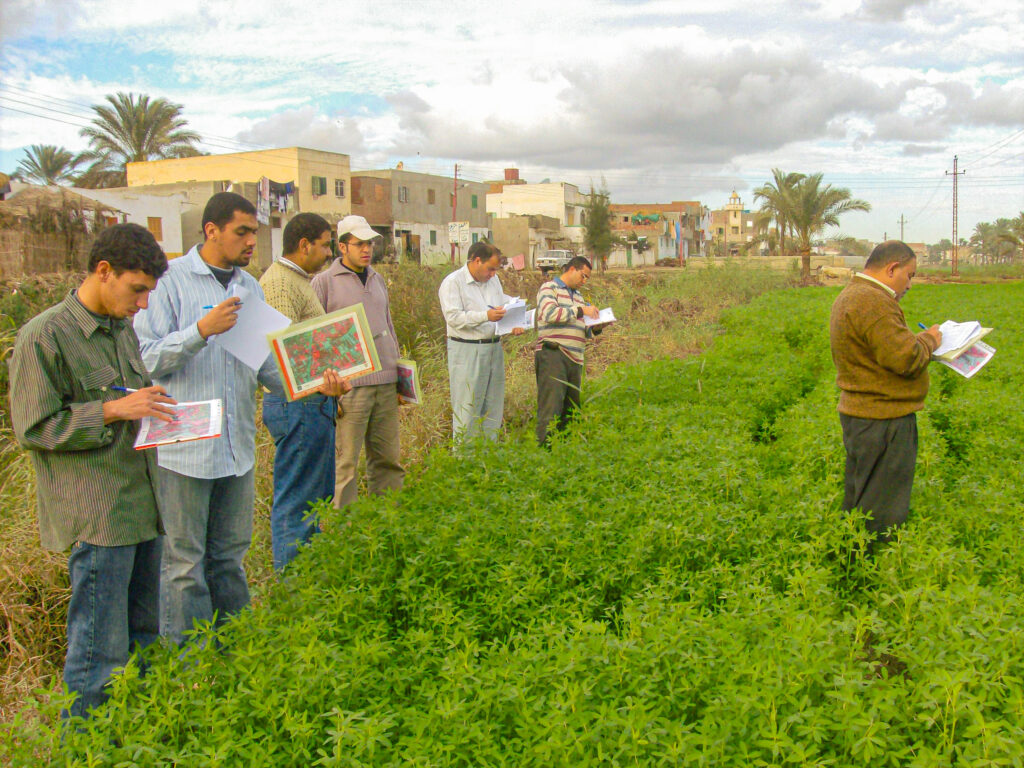 IGNFI.EGYPTE.CIPA.HPIM4049 x_2