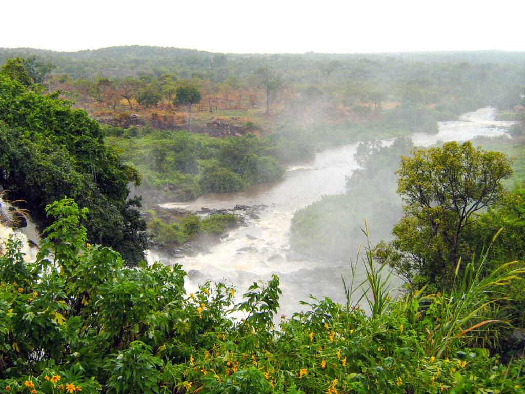 IGNFI.OSFACO.foret_RCA_nov2011_GJaffrain_2