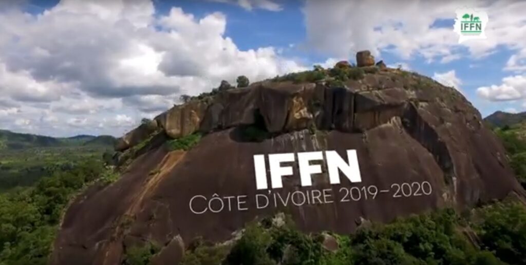 COTEDIVOIRE.IFFN.IGNFI.COTE_D_IVOIRE.ACTU.2020.02.FILM.C1 - Copie