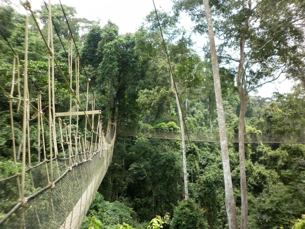 HOTSPOT.ENV.P1000565