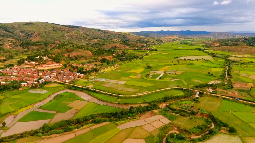 Vidéo CASEF IGN FI longue EN.00_00_18_14.Still029